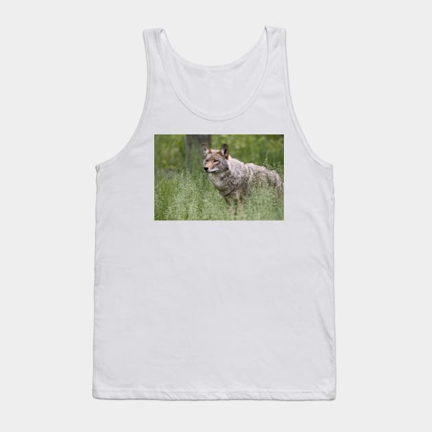 Coyote Tank Top by jaydee1400